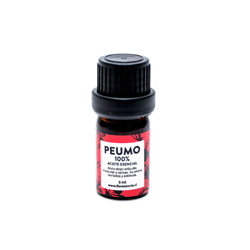Aceite esencial Peumo